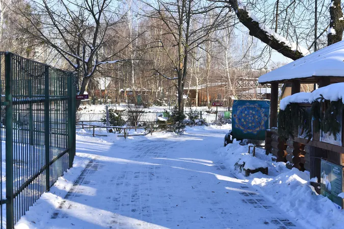 Як зустрічають сніг мешканці Луцького зоопарку (фото)