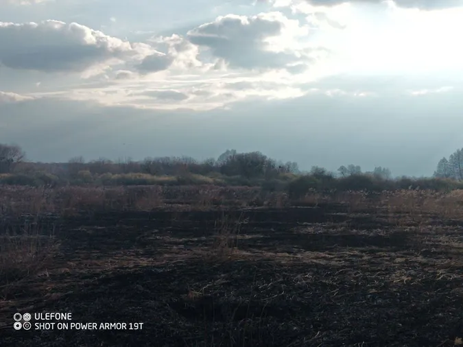 Вигоріло близько 10 гектарів: у Луцькому районі зайнялася пожежа поблизу болота (фото)