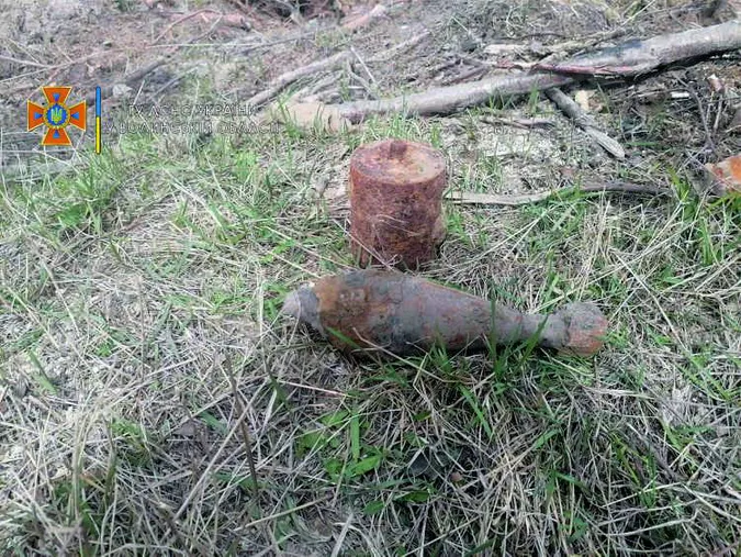Снаряд і міни: на Волині сапери знешкодили боєприпаси часів минулої війни (фото)