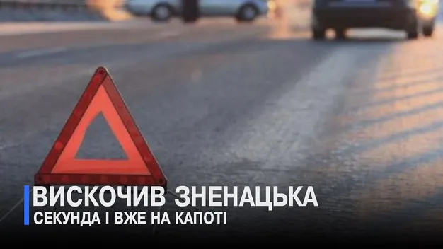 «В цьому є і вина пішохода»: винуватець ДТП біля Луцька просить скасувати вирок (відео)