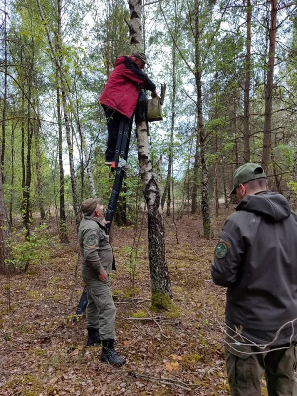 У нацпарку на Волині лускорішок «захопив» шпаківню на дереві