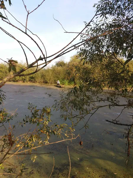 Волинські екоінспектори виловили 7 безгоспних сіток (фото)