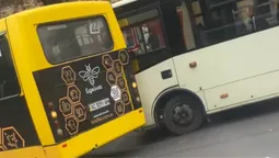 У Луцьку біля ЦУМу зіткнулися дві маршрутки (відео)