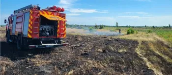 Вогонь охопив півтора гектара: на Волині горіли суха трава, чагарники та торф’яник (фото)