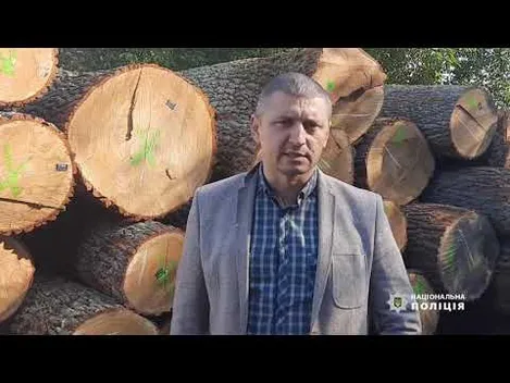 У Луцьку на підприємстві знайшли 60 колод незаконно зрубаного дуба (фото)