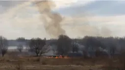 У Луцьку знову горів луг (фото, відео)