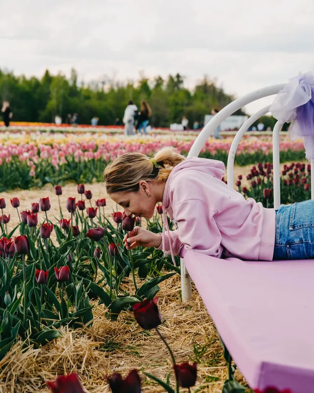 Луцький фотограф зловив неймовірні кадри у «Волинській Голландії» (фото)