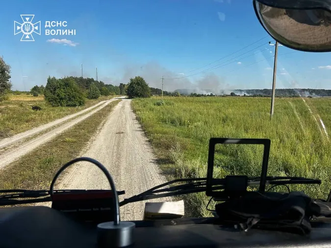 Вогонь охопив понад 4 гектари: на Ковельщині після пожежі знайшли винуватця (фото)