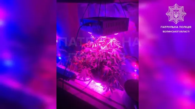 У Луцьку патрульні допомогли чоловіку дійти до його нарколабораторії (відео)