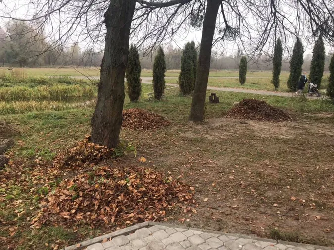 До молодіжного центру Луцька проклали стежку з дерева (фото)