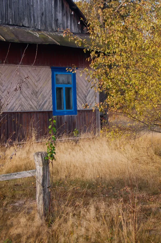 Простота, спокій, загадковість: осінь у селі на Волині (фото)