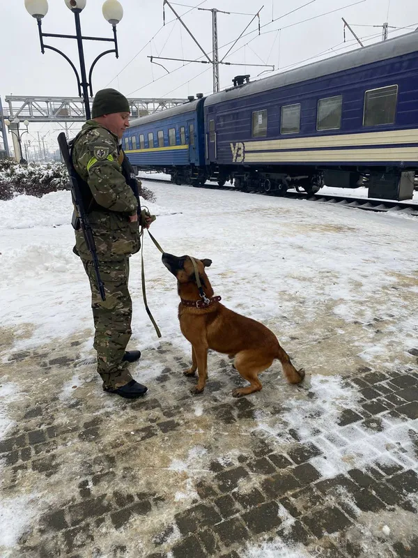 Перевіряють залізничні станції та блокпости: Волинська поліція проводить профілактику для протидії обігу зброї