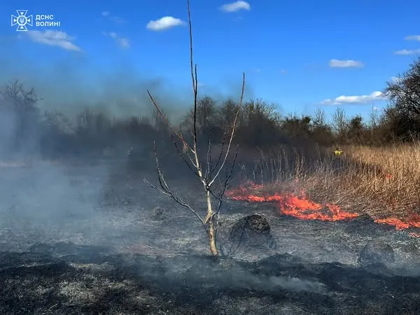 Біля Луцька через підпал сухої трави горіли будинок і сарай (фото)