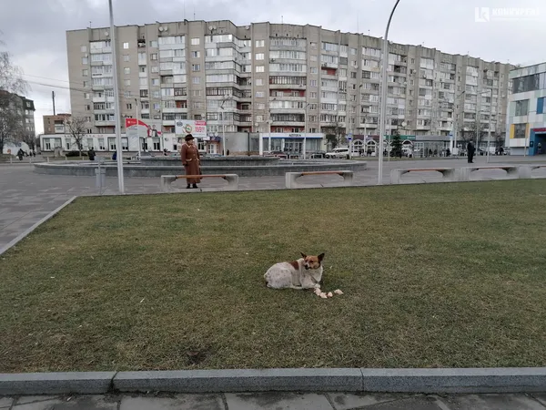 Один день з життя Луцька у фото