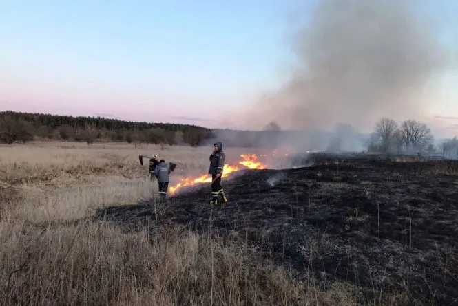 На Волині горіли 11 гектарів сухої трави