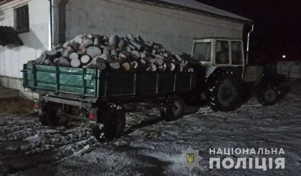 Пропонував тисячу гривень: на Волині впіймали чоловіка з повним причепом дров (фото, відео)
