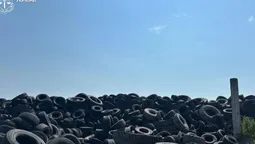 На Волині переробка шин обернулася забрудненням ґрунту: які збитки нарахували