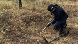Волинські сапери розміновують поля і ліси на Сході України (фото)