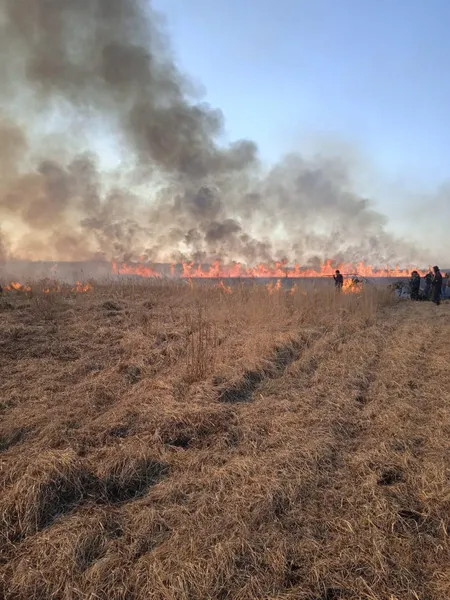 Лісівники Волині допомагають гасити пожежі на території громад (фото)