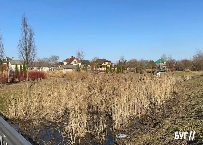 Замість русла – сухі джунглі: у Володимирі так і не взялися за розчищення річки у парку (фото)
