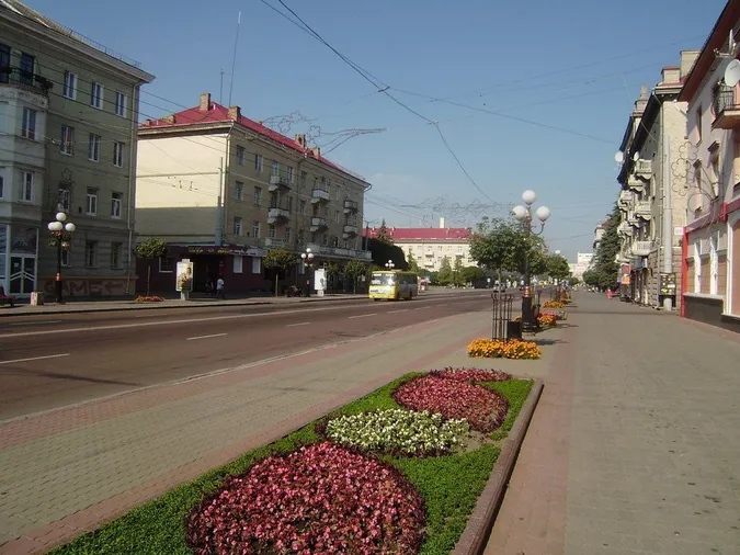 Проспект Волі просять озеленити довговічними рослинами – петиція