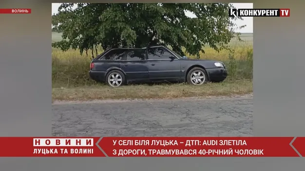 У Ковелі авто збило жінку з донькою на переході – їх госпіталізували (фото, відео)