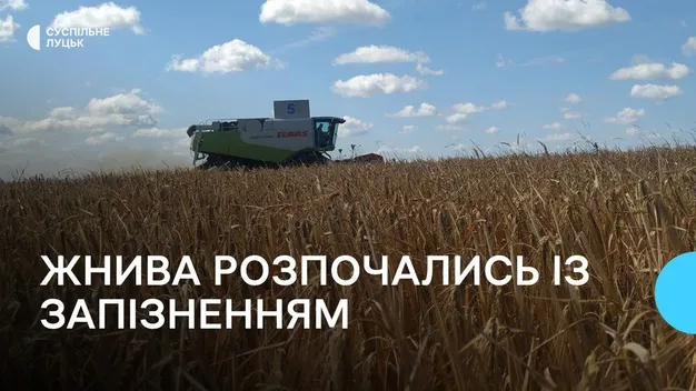 Через погоду жнива на Волині почались пізніше (фото, відео)