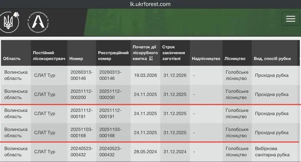 На Волині викрили незаконну вирубку сосен: відкрито кримінальне провадження (фото)