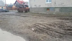 Муніципали знову борються з автохамами в Луцьку (фото) 