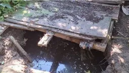 У Луцьку муніципали покарали жінку, яка підливала нечистоти сусідам (фото)