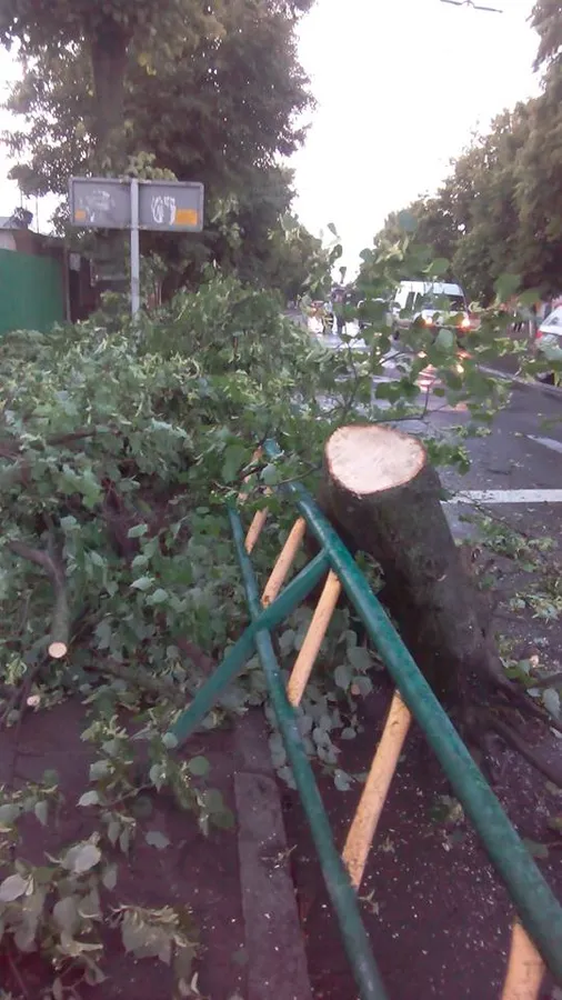 Що наробила негода в Луцьку (фото, відео)