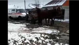 На Закарпатті коні тягнули "швидку" з пацієнтом (відео)