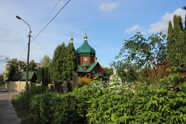 Три історії про живих: (не)містична прогулянка луцьким цвинтарем (фото)