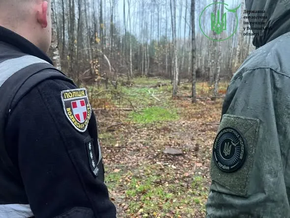Залишили понад 200 пнів: під Ківерцями виявили масштабну незаконну вирубку лісу (фото)