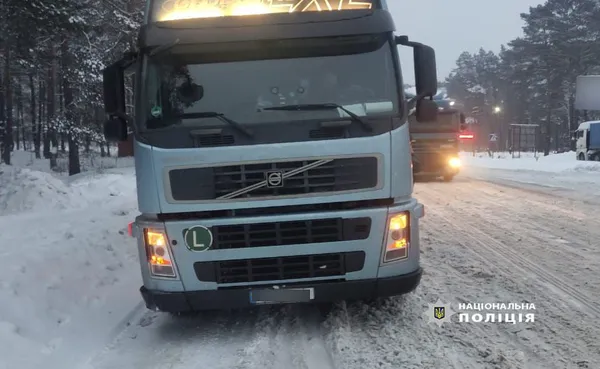 Сосна і вільха: у Камінь-Каширському районі знайшли незаконну деревину (фото)
