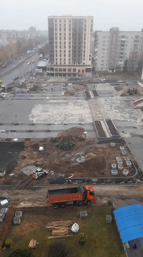 Перед РАЦСом у Луцьку зрізали ялинки (фото)