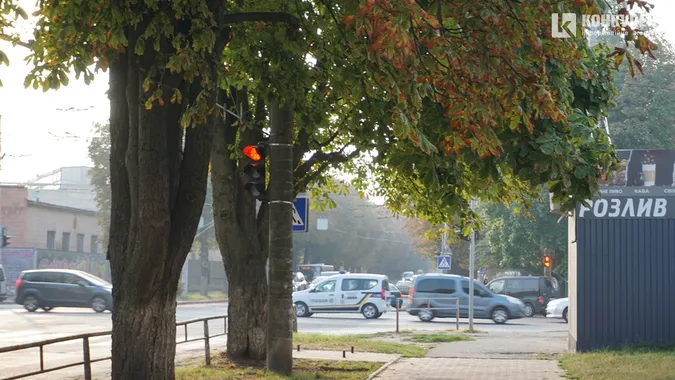 Квіти, песики, каштани: Дубнівська у Луцьку восени (фото)