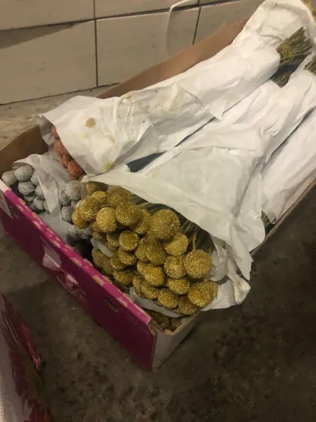 Підприємець намагався провезти через «Ягодин» понад шість тонн свіжих квітів (фото)