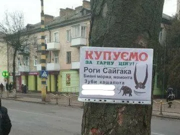 У Луцьку на стовпах знайшли дивну рекламу наркотиків (фото)
