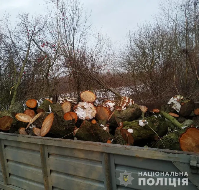 Навантажений ГАЗ: у Луцькому районі незаконно рубали ліс (фото)