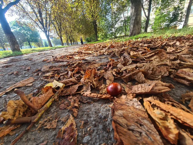 Луцьк у вихідний під теплим осіннім небом (фото)