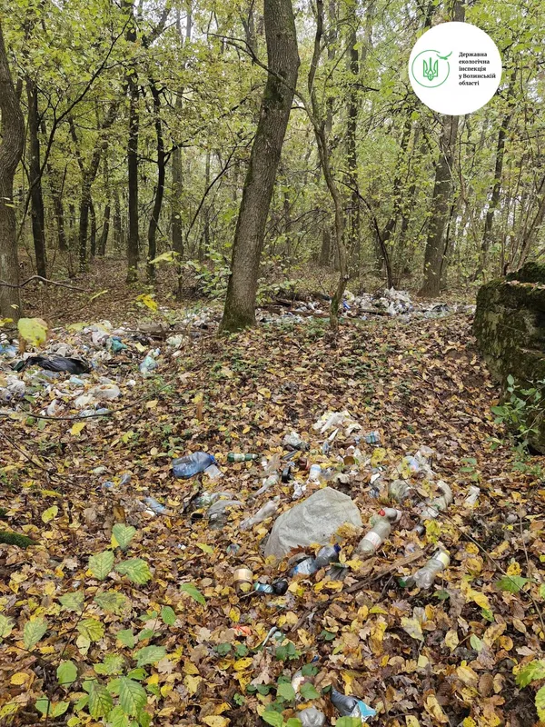 У Луцькому районі невідомі закидали сміттям історичну памʼятку (фото)