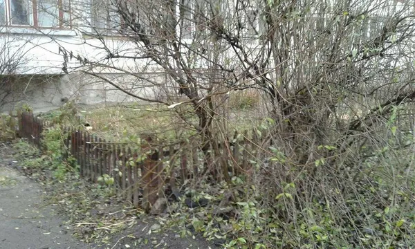 У Луцьку знесли  незаконні паркани на прибудинкових територіях (фото)