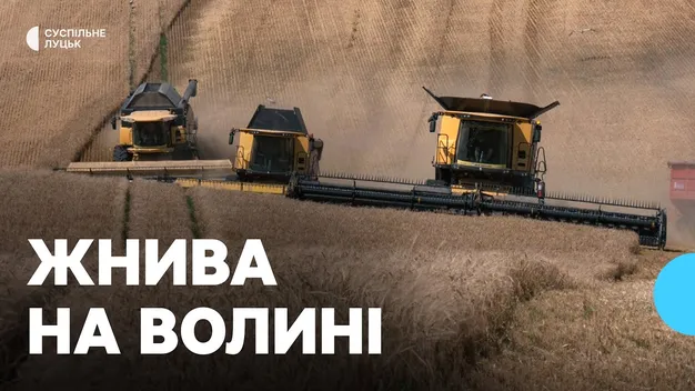 «Дуже тяжкі жнива», – волинський фермер про цьогорічний урожай