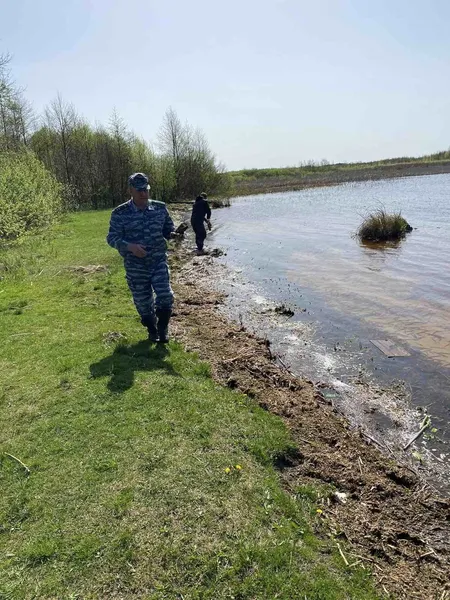 У нацпарку на Волині почистили береги Прип'яті та Стоходу (фото)