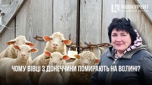 Головне у Луцьку: ТОП новин четверга, 9 листопада