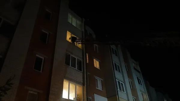 На Волині за добу загасили чотири пожежі (фото)
