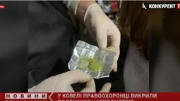У Ковелі подружжя організувало бізнес на наркотиках (відео)