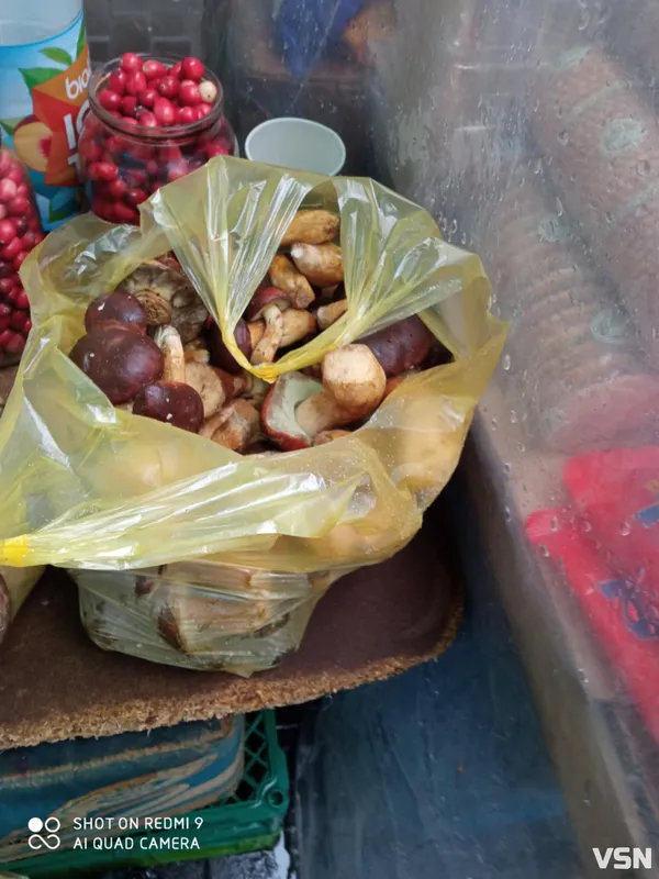 Продають торбами і відрами: скільки коштують гриби на ринках  у Луцьку (фото)
