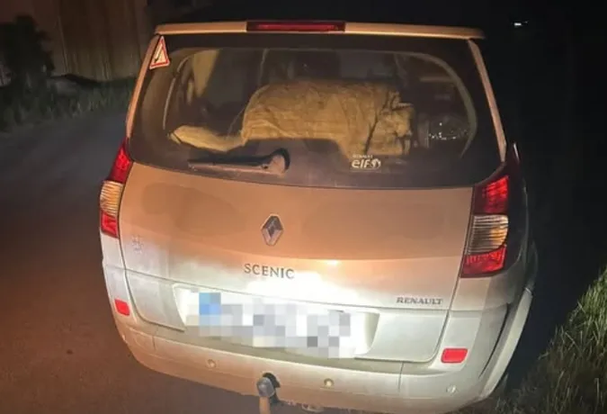 У Любешеві вночі зловили п'яну жінку за кермом (фото)